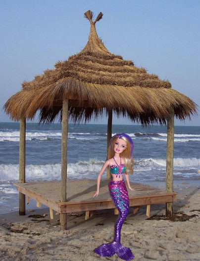325529_342617575753047_100000144238833_1624802_1043829549_o - barbie
