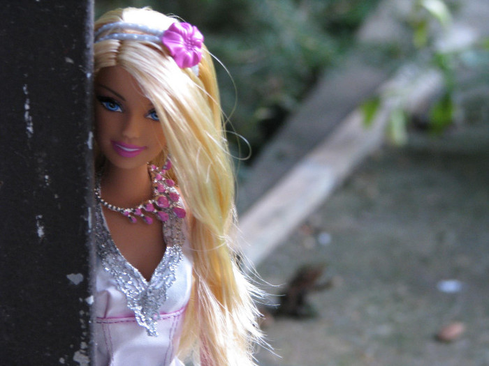 331919_326341377384377_100000255527627_1283595_840426652_o