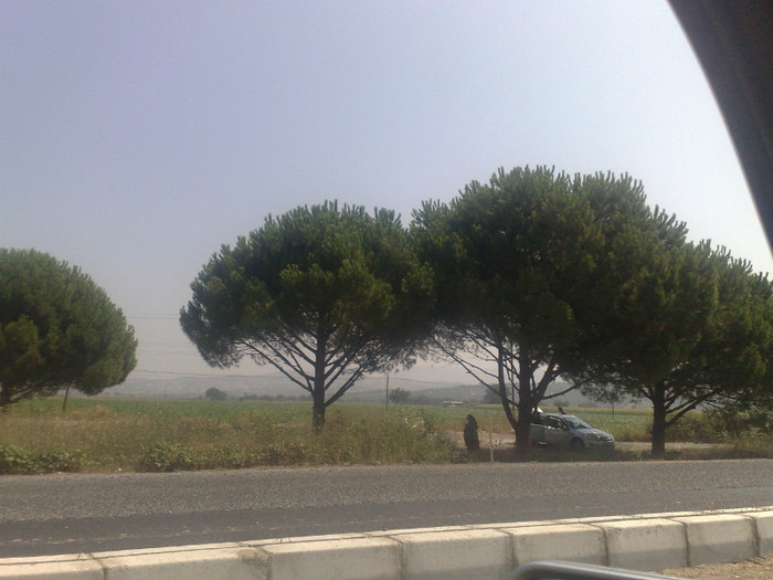 04082010398 - turcia 2010