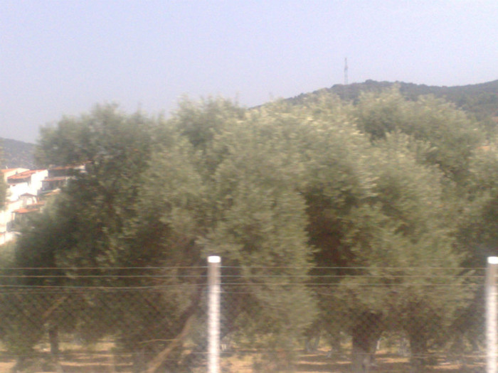 04082010405 - turcia 2010