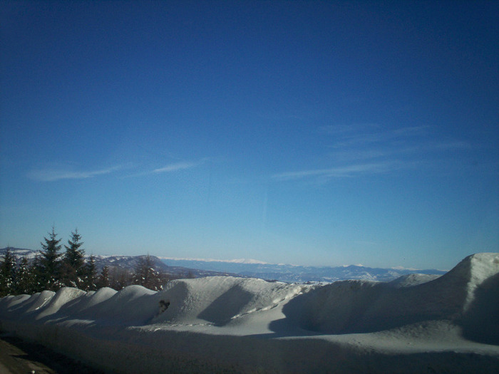 100_7215 - winter2008-2009