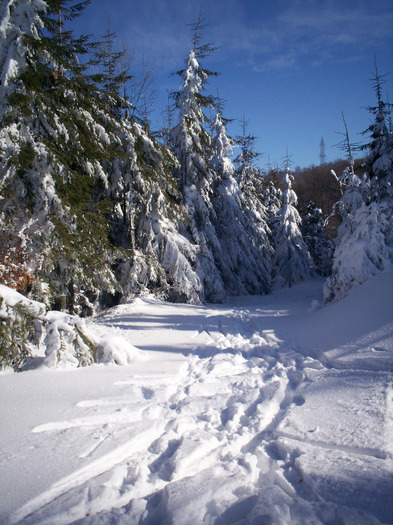 100_7227 - winter2008-2009