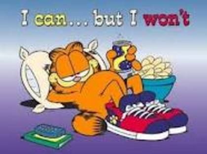 images (6) - garfield