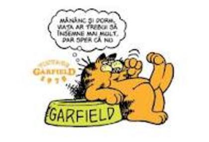 images (11) - garfield