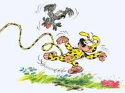 descarga (4) - marsupilami