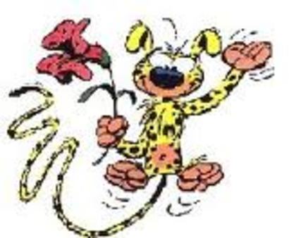 images (5) - marsupilami