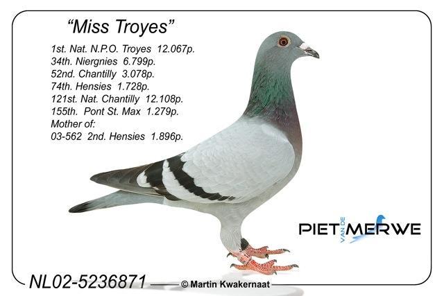 miss-troyes