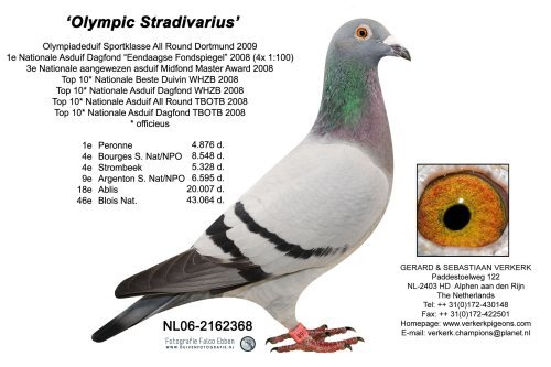 verkx8nl06-2162368incl.oog