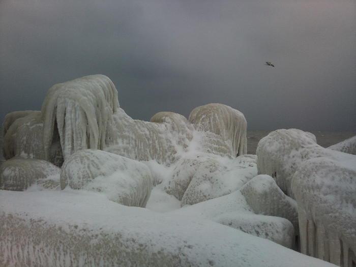 Photo620 - Marea la Neptun 2-02-2012