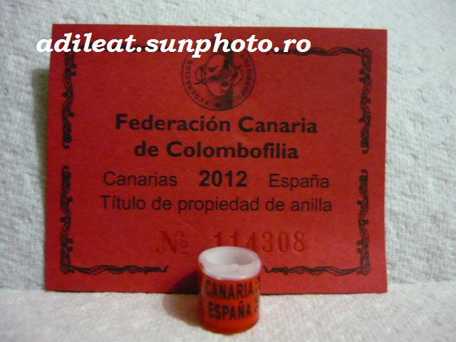 SPANIA-2012-CANARIA - SPANIA-CANARIA-ring collection