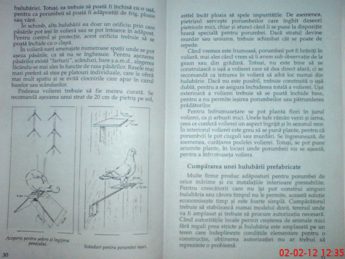 DSC02683 - ZBURATORI CRESTEREA PORUMBEILOR