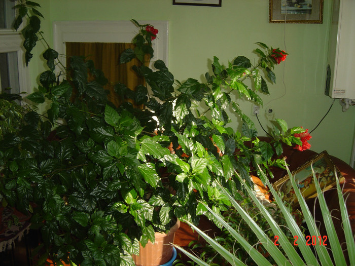 afara ger...in casa soare!