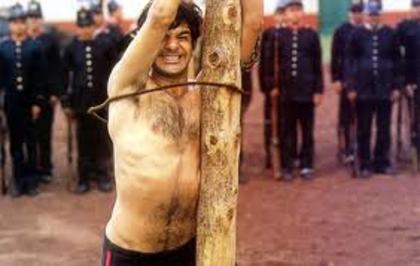 images (39) - Miguel Rodarte