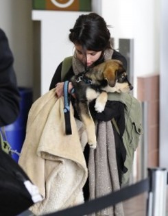 e55589156832867 - 31 10 Makes her way through LAX airport in Los Angeles