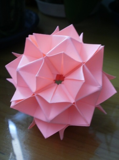 P4280480_resize - origami