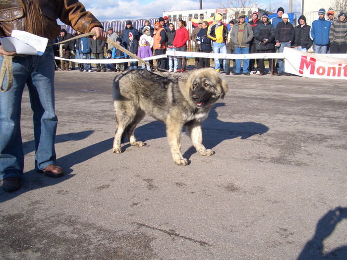 Etapa IV COMISANI 2008 2