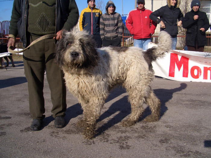 Etapa IV COMISANI 2008 28