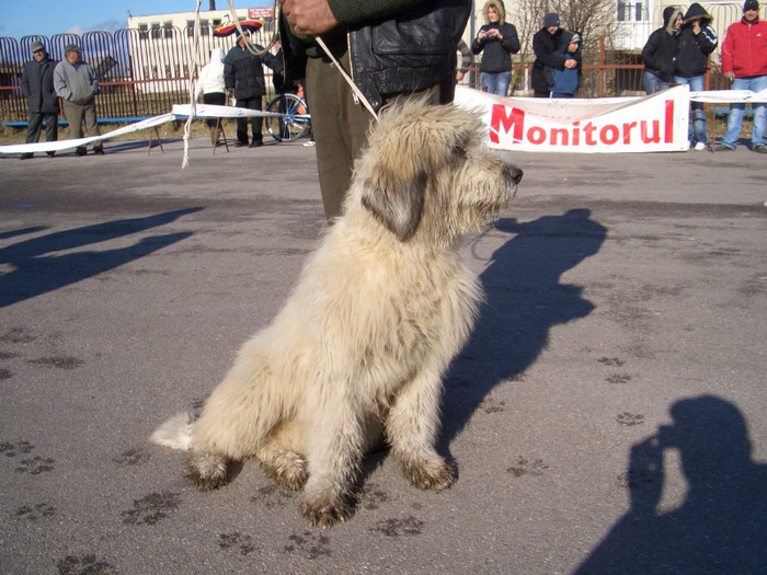 Etapa IV COMISANI 2008 29