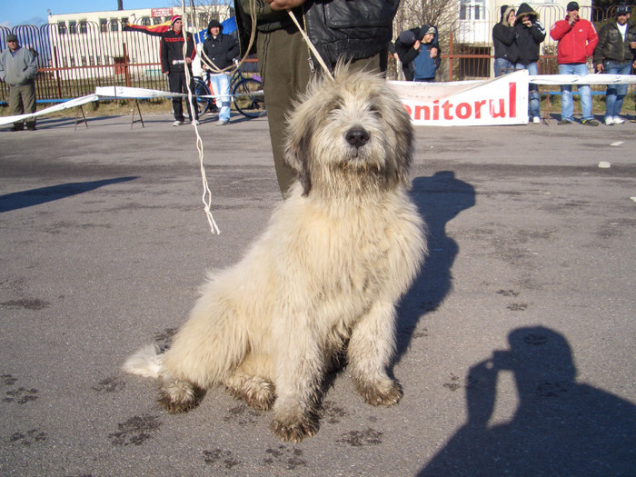 Etapa IV COMISANI 2008 30