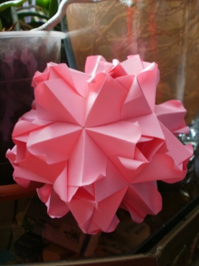 P4290496_resize - origami
