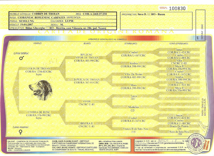 pedigree crc consangv CANISA DE TROIAN