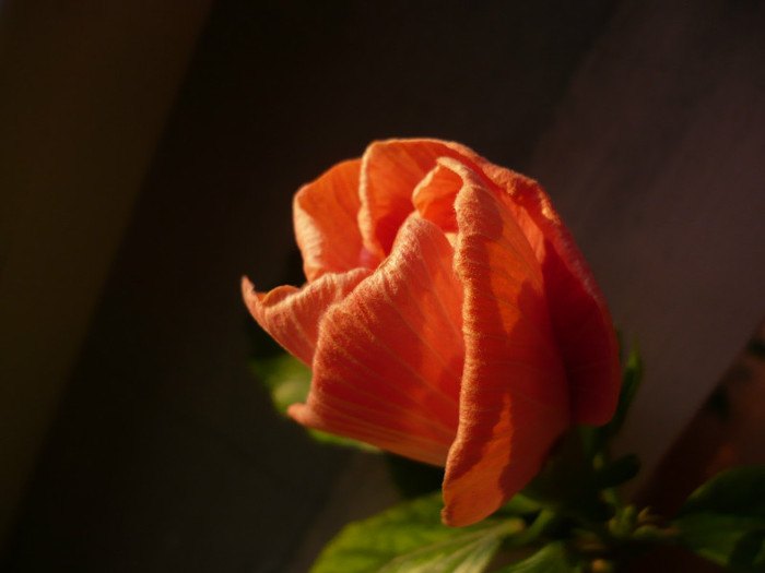 P1110415