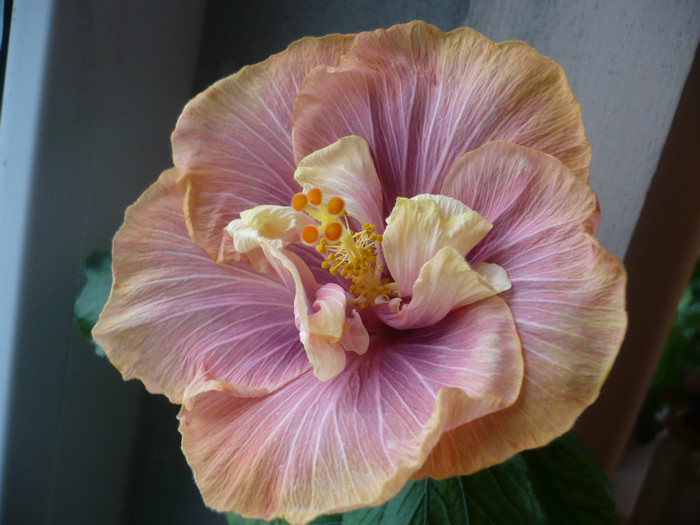 P1110418