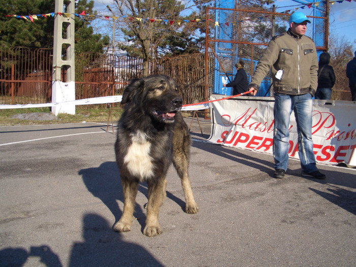 Etapa IV COMISANI 2008 16