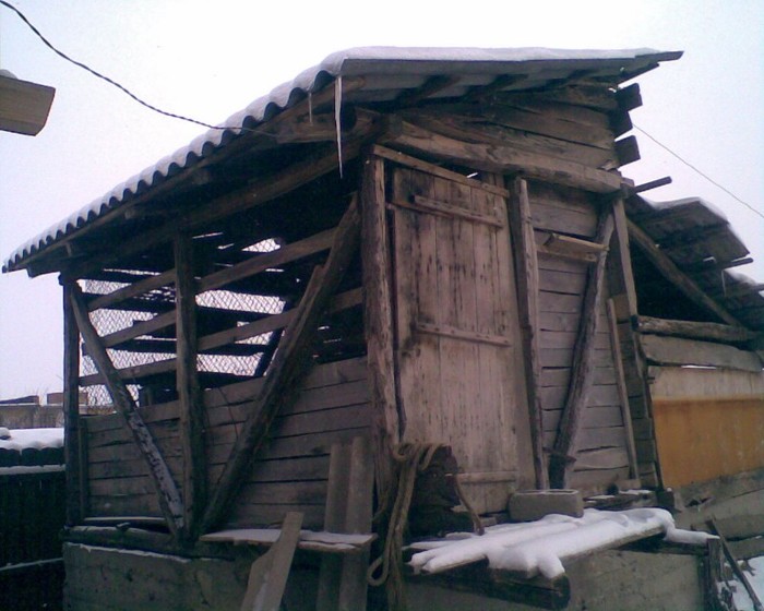 Cuşica ptr zburători