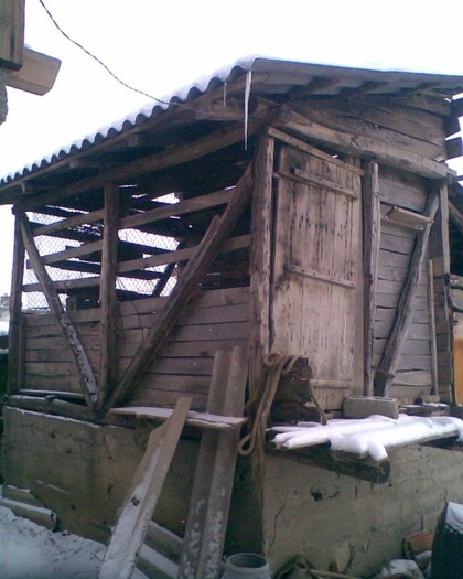Cuşca pt zburători - Porumbei mei