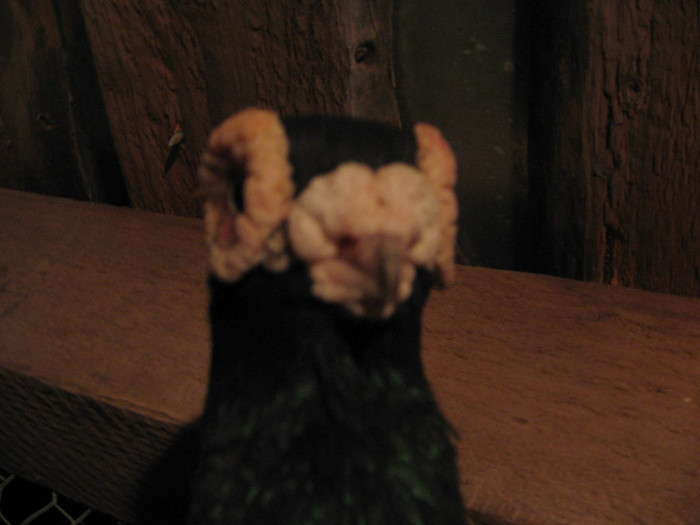 H 2005-M-PRET 50 RON VANDUT