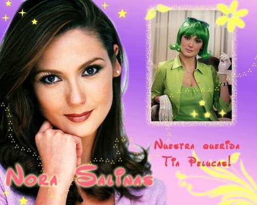 222069_1047731637447_1350385187_133199_2815_n - Nora Salinas