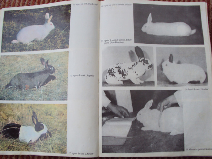 DSC06813 - Carti despre cresterea iepurilor