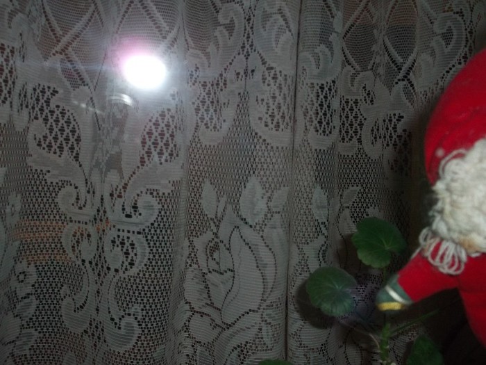 DSCF3162 - EVELIN la ZIUA EI