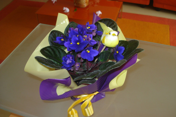 CU MULTUMIRI,D-NEI DOCTOR