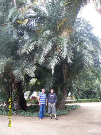 SDC13304 - malaga spania