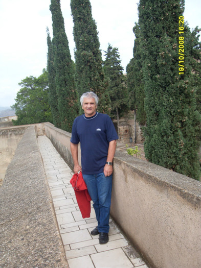 SDC13408 - malaga spania