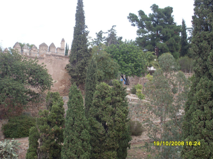 SDC13413 - malaga spania