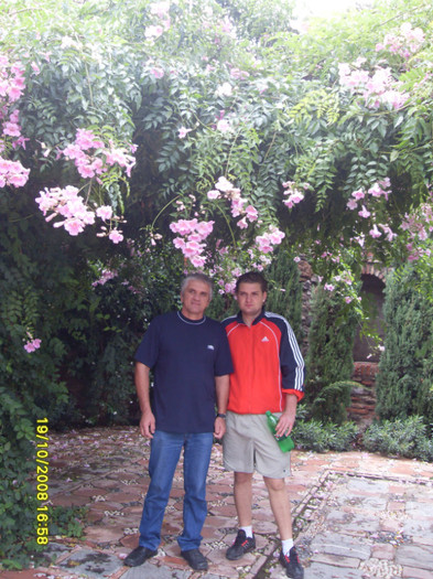 SDC13418 - malaga spania