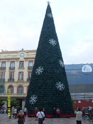 SDC13663