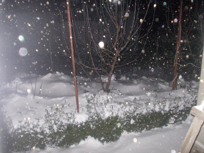 afara la noi in vasilati judetul calarasi cel mai tare comuna