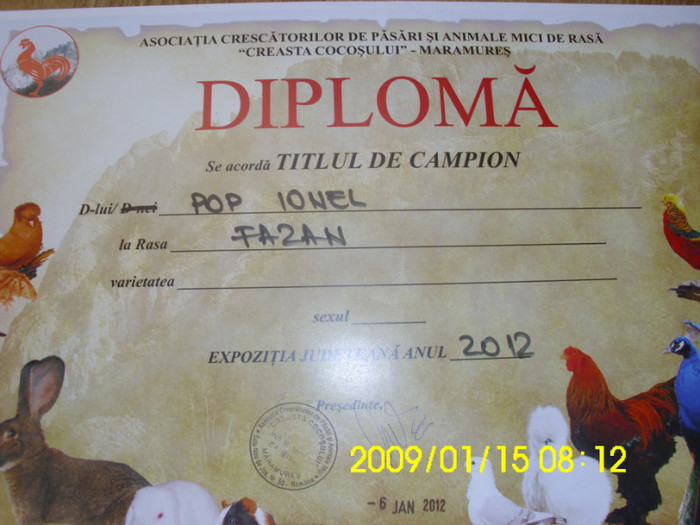 IMG_0187 - Diplome si medalii