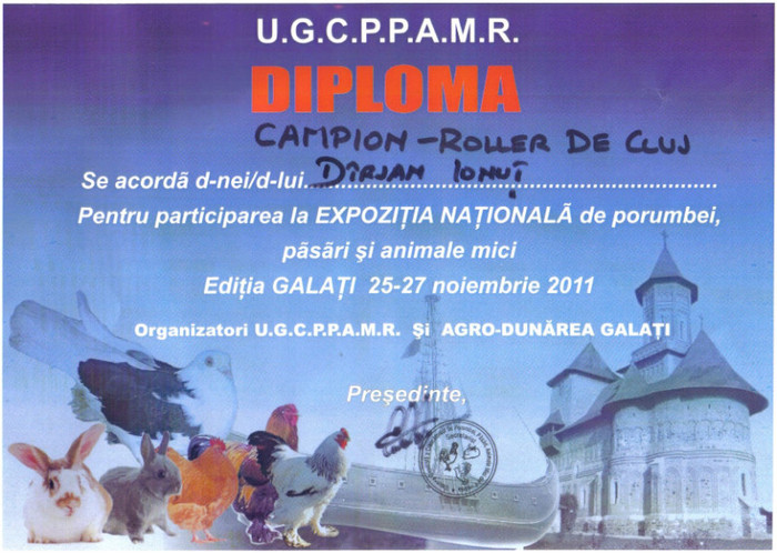 diploma Galati 2011 - Palmares