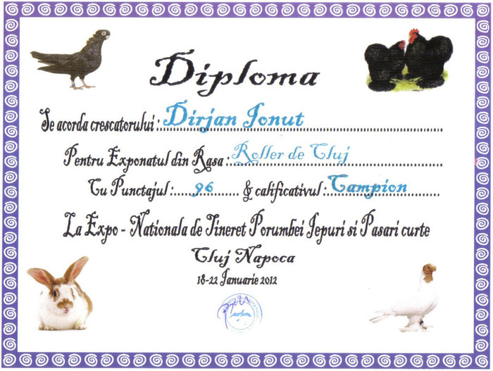 diploma Cluj 2012