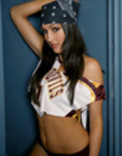 March-Madness-Nikki-Bella-wwe-divas-5301741-94-120