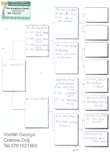 Pedigree ,221'' - ACHIZITII LICITATII RO