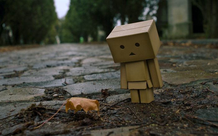  - Cutiuta Danbo