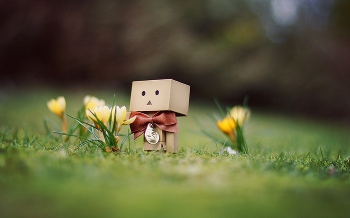  - Cutiuta Danbo