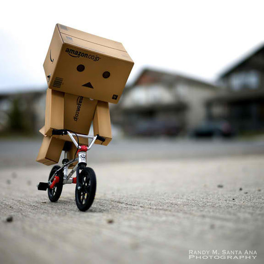  - Cutiuta Danbo