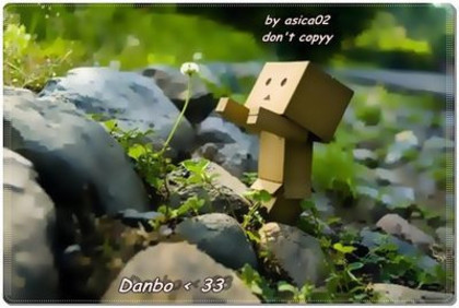  - Cutiuta Danbo